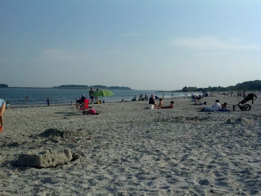 Crescent Beach State Park by null