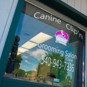 Canine Clip'n Grooming - Call today for all your Grooming needs! From Pits to Poodles, all pets are welcome! - Pet Groomers Near Me - Waynesboro, Virginia Canine Clip'n Grooming - Call today for all your Grooming needs! From Pits to Poodles, all pets are welcome! - Pet Groomers Near Me - Waynesboro, Virginia