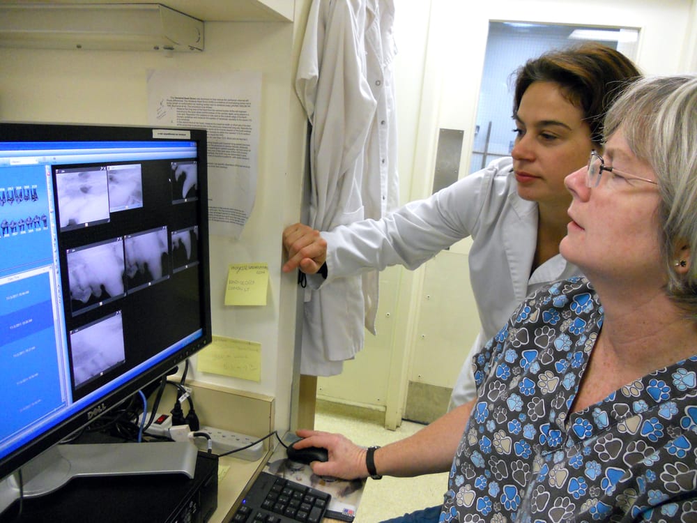 WINCHESTER VET GROUP Updated September 2024 24 Photos & 36 Reviews