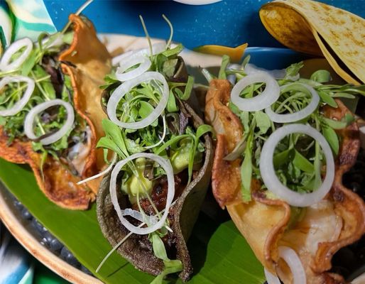 Rumba Uptown by null