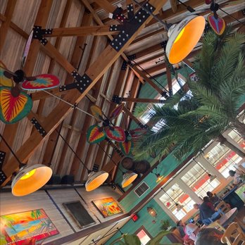 Bahama Breeze - The restaurant - Latin American Near Me - Charleston, South Carolina Bahama Breeze - The restaurant - Latin American Near Me - Charleston, South Carolina