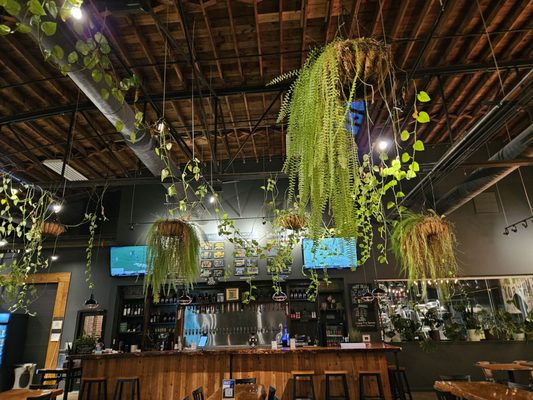 Lenny Boy Brewing Co. by null