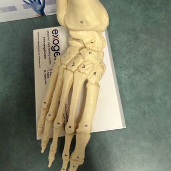 The Center for Bone & Joint Surgery - Orthopedists Near Me - Royal Palm Beach, Florida The Center for Bone & Joint Surgery - Orthopedists Near Me - Royal Palm Beach, Florida