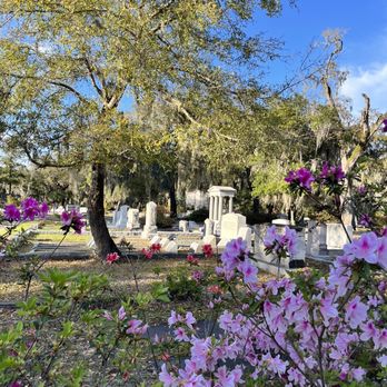 Bonaventure Cemetery - Funeral Services & Cemeteries Near Me - Savannah, Georgia Bonaventure Cemetery - Funeral Services & Cemeteries Near Me - Savannah, Georgia