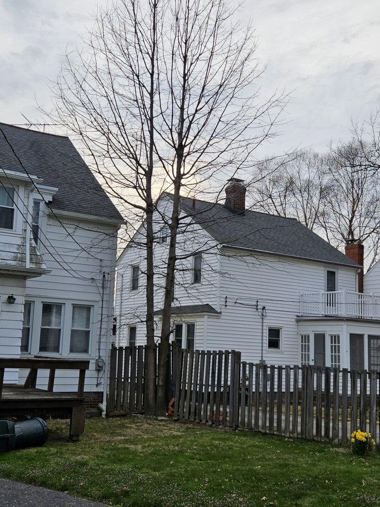 Deeply Rooted Arborist Tree service - tree service in Cleveland, OH