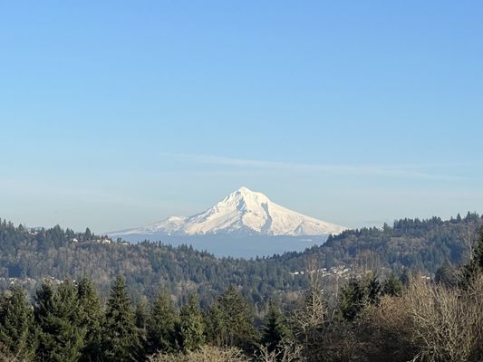 Powell Butte Nature Park by null