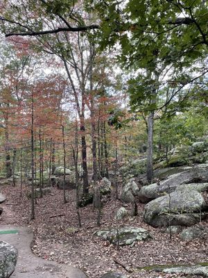 Elephant Rocks State Park by null