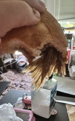 Mrs. Riches Restaurant by null