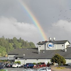 Mo's Seafood & Chowder - The end of the rainbow ends in Mo's
