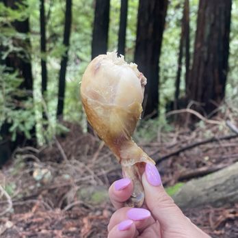 Sol Food Mill Valley - Rotisserie chicken out on a hike lol - Latin American Near Me - Mill Valley, California Sol Food Mill Valley - Rotisserie chicken out on a hike lol - Latin American Near Me - Mill Valley, California