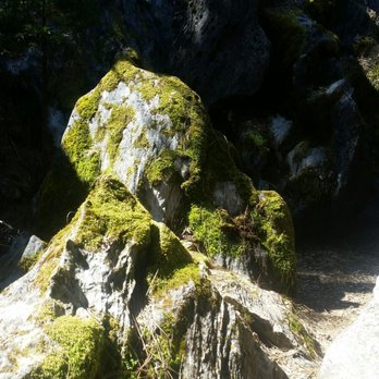 Black Chasm Cavern - Pretty walk took about 30-45 minutes - Tours Near Me - Volcano, California