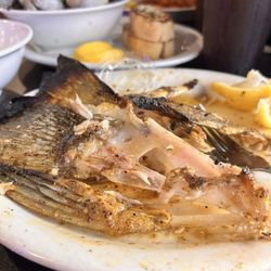 Lighthouse Seafood & Café - Cleaned fish collars