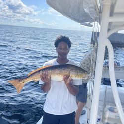 Santa Rosa Charters - Great catch