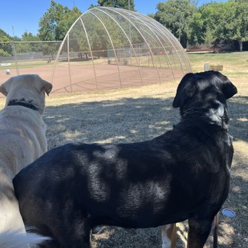 Community Park - Ball field - Parks Near Me - Chico, California Community Park - Ball field - Parks Near Me - Chico, California
