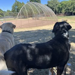 Ball field