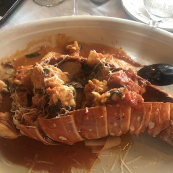 Marcello's Ristorante - Bahamian Lobster Tail Fra Diavolo with Pappardelle pasta was outstanding-so much lobster meat! - Italian Near Me - Sarasota, Florida Marcello's Ristorante - Bahamian Lobster Tail Fra Diavolo with Pappardelle pasta was outstanding-so much lobster meat! - Italian Near Me - Sarasota, Florida