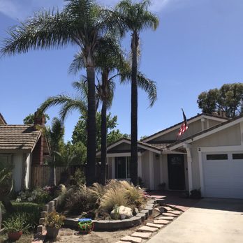 Tony's BC Tree Service - Before and after - Tree Services Near Me - Orange, California