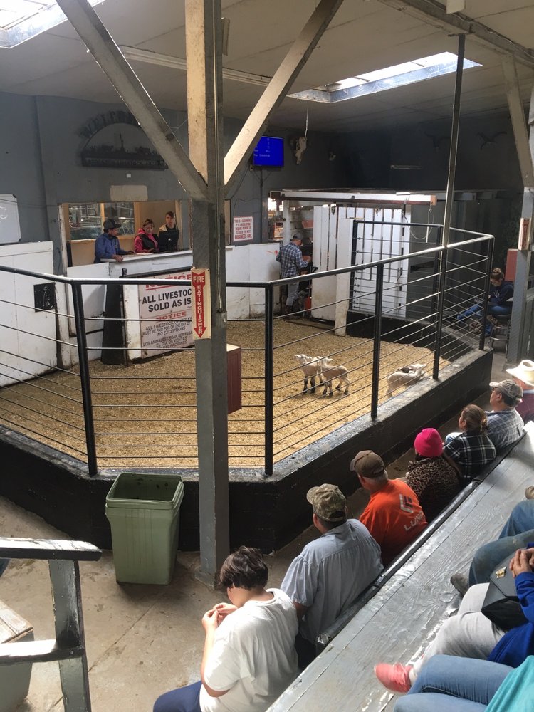 STOCKTON LIVESTOCK AUCTION YARD 140 E French Camp Rd, French Camp