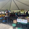 Needham Farmers Market gift card