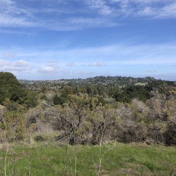 Windy Hill Open Space Preserve - Parks Near Me Windy Hill Open Space Preserve - Parks Near Me