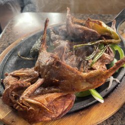 Codorniz / Huilota / Quail.