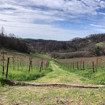Mayacamas Vineyards & Winery - Rows upon rows of America's best grapes - Wineries Near Me - Napa, California Mayacamas Vineyards & Winery - Rows upon rows of America's best grapes - Wineries Near Me - Napa, California