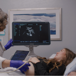 Sierra Pregnancy & Health - Free Ultrasound