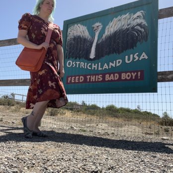 Ostrichland USA - Such cute signage - Attraction Farms Near Me - Solvang, California