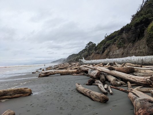 Kalaloch Lodge at Olympic National Park by null