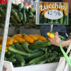 Sycamore Farms at Union Square Greenmarket - Zucchini - Sycamore Farms Summer