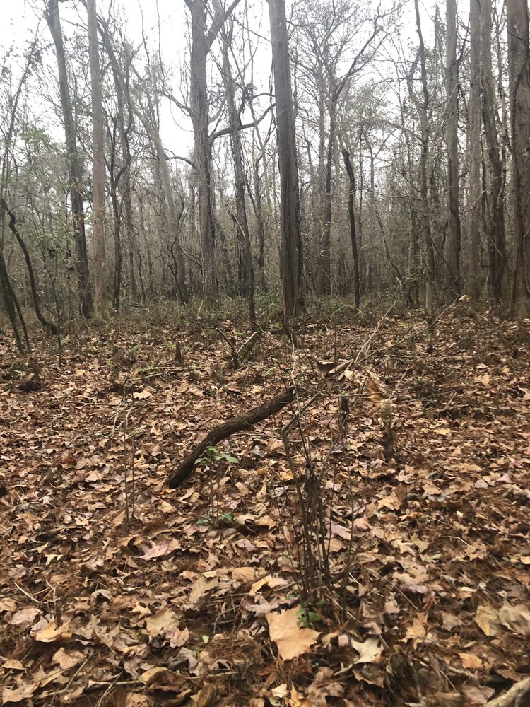 US ARMY OF ENGINEERS INDIAN BAYOU 667 W Atchafalaya Levee Rd, Krotz