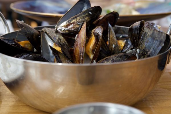 Blue Mussel Cafe by null