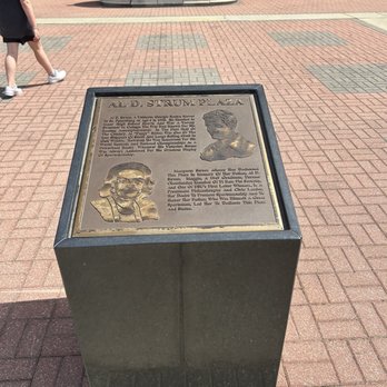 Doak Campbell Stadium - Stadiums & Arenas Near Me - Tallahassee, Florida