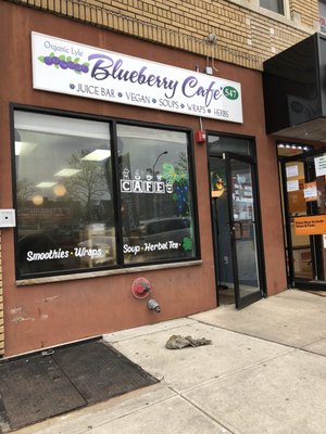 Blueberry Cafe Juice Bar And Vegan Grille by null
