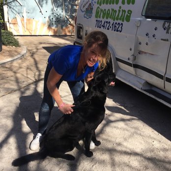 Wright Touch Grooming - Pet Groomers Near Me Wright Touch Grooming - Pet Groomers Near Me
