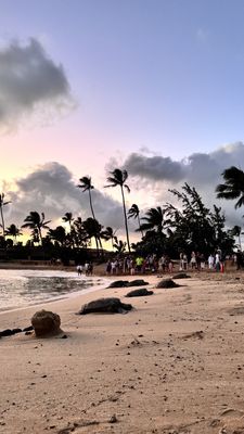 Poipu Beach Park by null