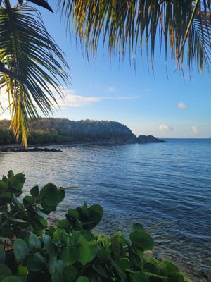 Bolongo Bay Beach Resort by null