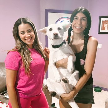 Bark Busters - Pet Training Near Me Bark Busters - Pet Training Near Me