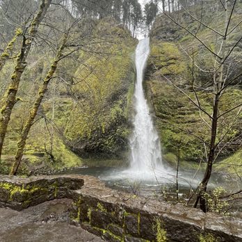 Oregon Tour Co. - Historical Tours Near Me - Portland, Oregon Oregon Tour Co. - Historical Tours Near Me - Portland, Oregon