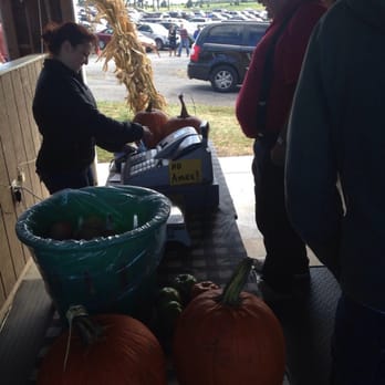 Homestead Farm - Checkout - Fruits & Veggies Near Me - Poolesville, Maryland