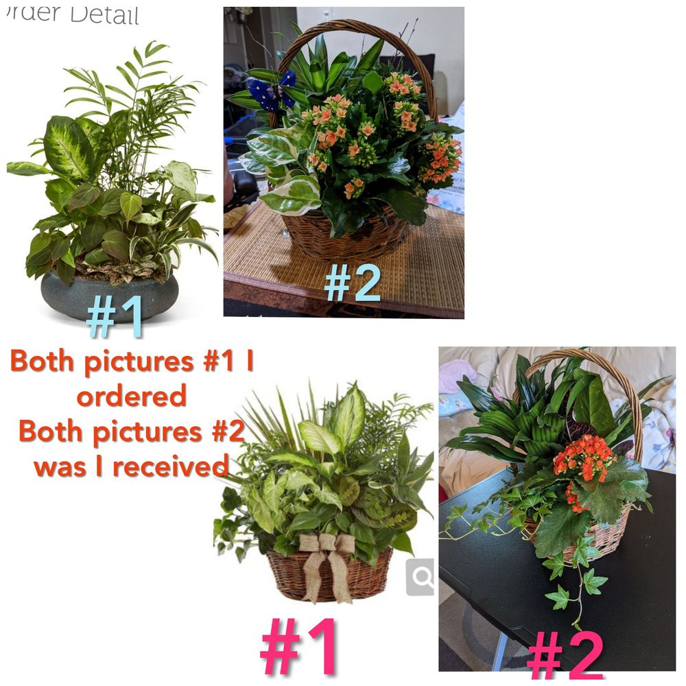 Charming Flowers - Florists Near Me - Rowland Heights, California Charming Flowers - Florists Near Me - Rowland Heights, California