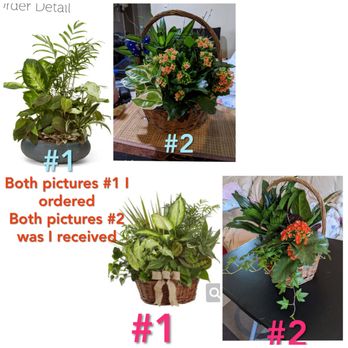 Charming Flowers - Florists Near Me - Rowland Heights, California Charming Flowers - Florists Near Me - Rowland Heights, California
