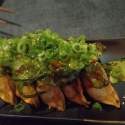 Pork and cabbage dumplings