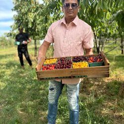 Orchard Valley Farm