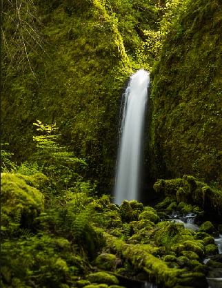 Lee Scher, MA LPC - child therapist in Portland, OR