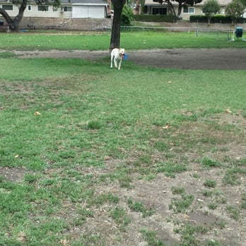 Baldy View Dog Park - Large dog side is pretty spacious. Plenty of room to play fetch with my yellow lab. - Dog Parks Near Me - Upland, California Baldy View Dog Park - Large dog side is pretty spacious. Plenty of room to play fetch with my yellow lab. - Dog Parks Near Me - Upland, California