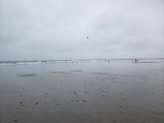 Jenness State Beach by null