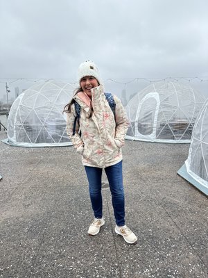 City Vineyard by null