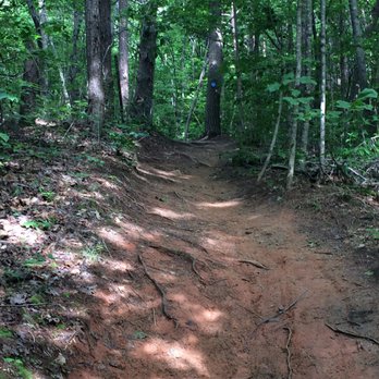 Charleston Park Activities