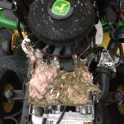 Midnight Plow Boys - The mice thought they had a great home.  Unfortunately they ate through the ignition coil wire and the tractor would not start.